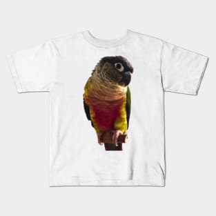 Green Cheek Conure Parrot Bird design, Love for birds Kids T-Shirt